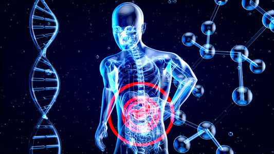 Butirato antiinflamatorio fermentos bacterias lactofermentación